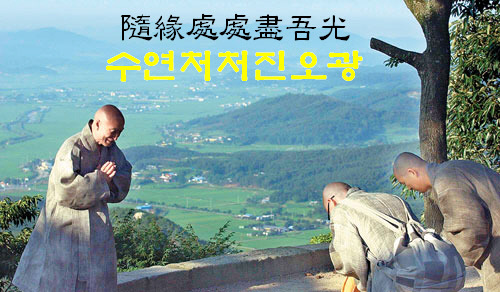 수수풀 이미지