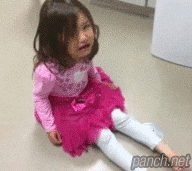 개와 고양이 차이점.gif | 인스티즈