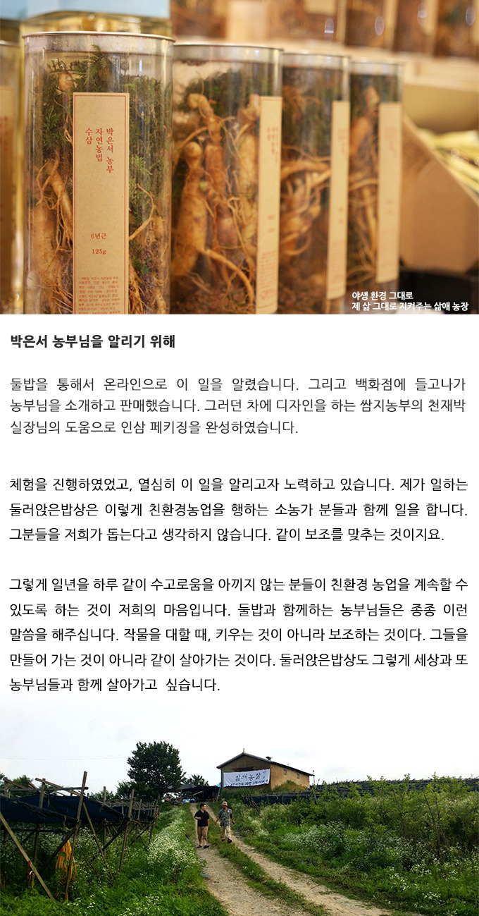 자연인삼 이미지