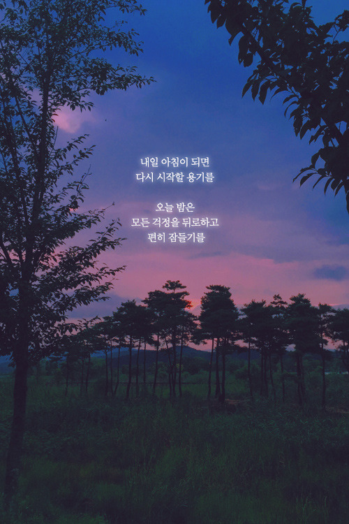 치킨오빠 이미지