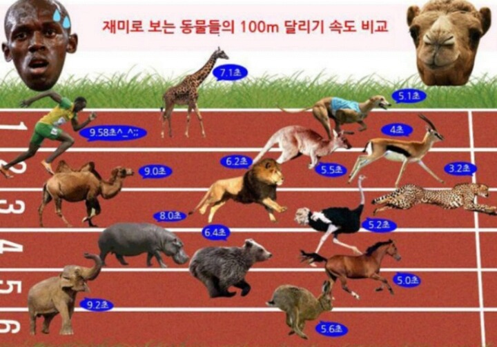 우싸인볼트 100m경주 골찌하다 . jpg | 인스티즈