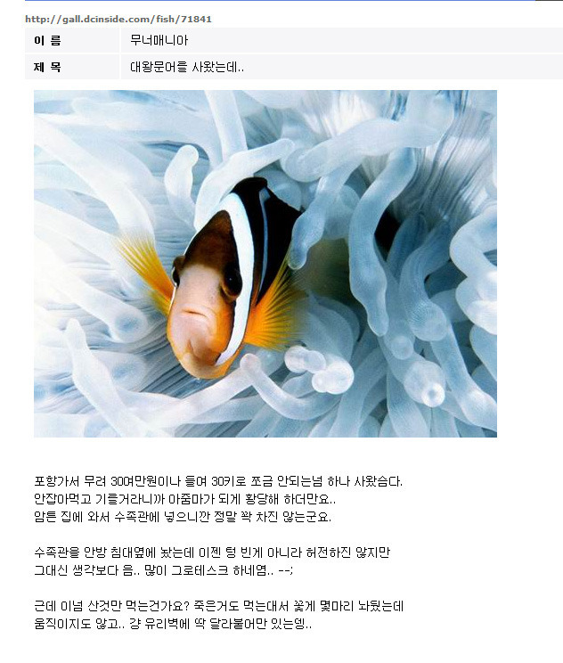 문어가 죽엇슴다.. ; | 인스티즈