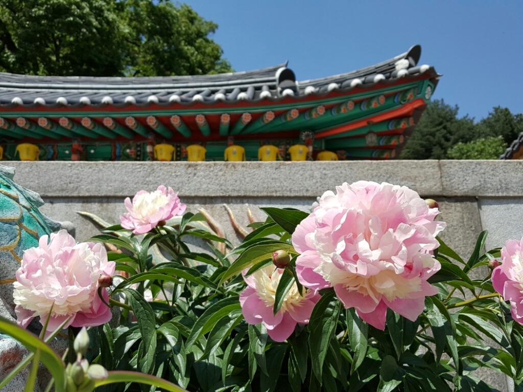 모닝다방 이미지