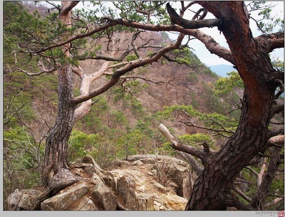 제천관광(주) 이미지
