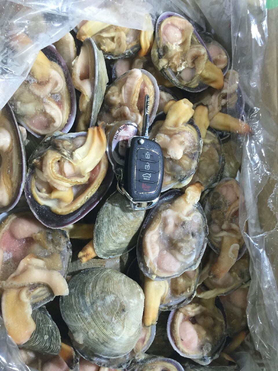 조개센터 이미지