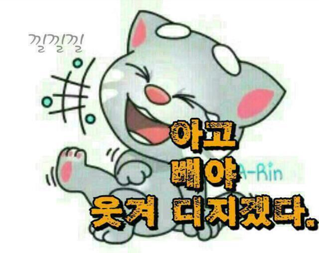 오동담배 이미지