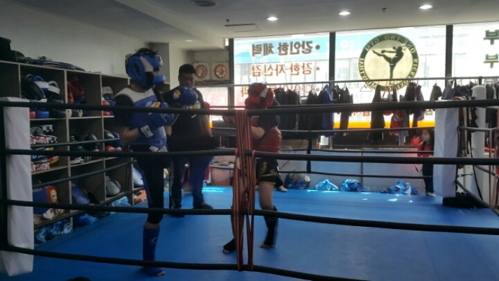 무에타이 이미지