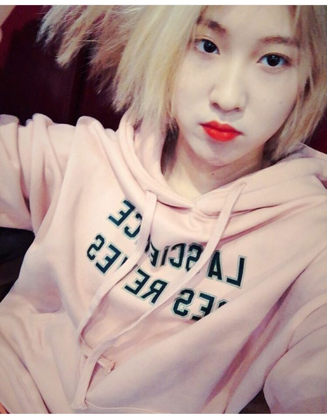 백예린 인스타 | 인스티즈