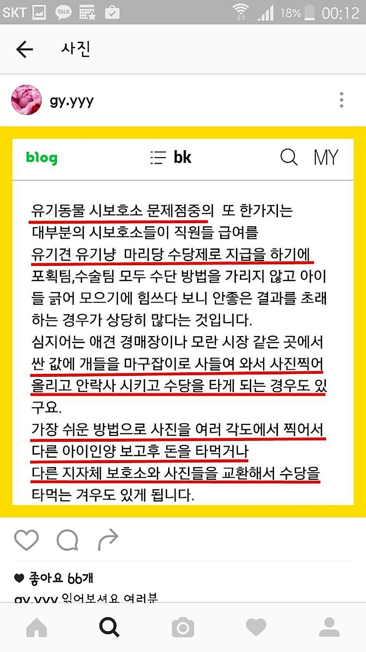 익산유기동물보호소의 공고사진 항의전화나 민원글쓰자(강아지 마음아픈사진있어)! | 인스티즈