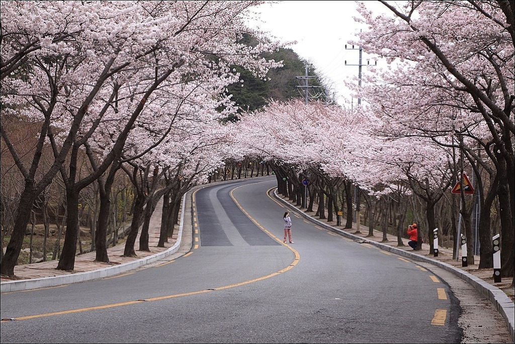 팔공산 조망 이미지