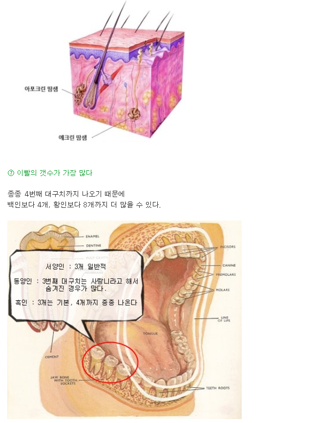 인종별 특징~ | 인스티즈