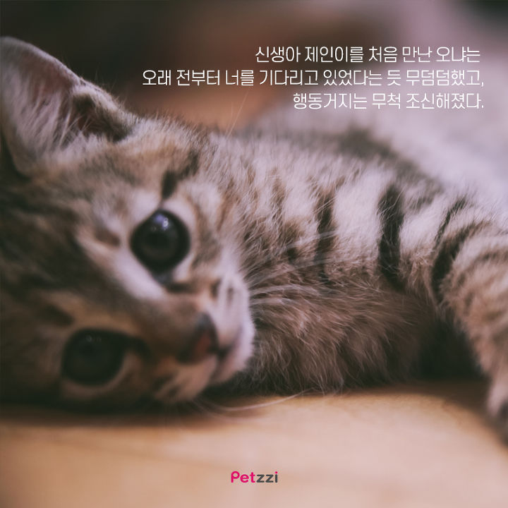 아기와 고양이의 교감 | 인스티즈