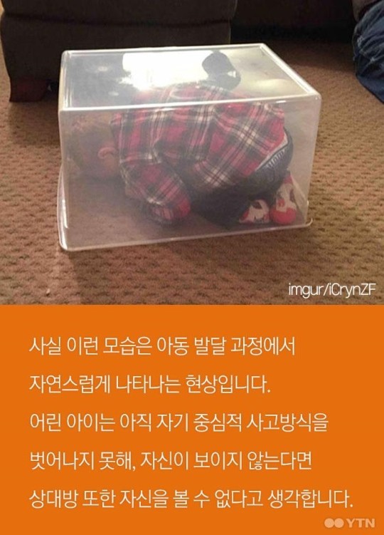 아이들이 반드시 숨바꼭질을 해야하는 이유 | 인스티즈