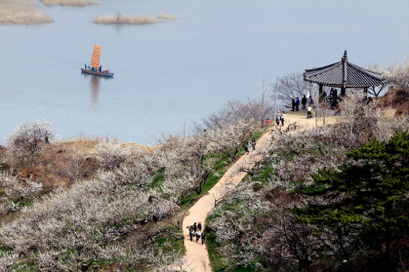 만나세 이미지