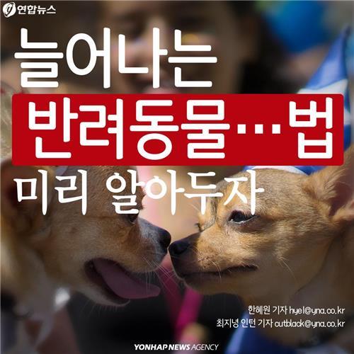 카드뉴스 늘어나는 반려동물…법 미리 알아두자 | 인스티즈