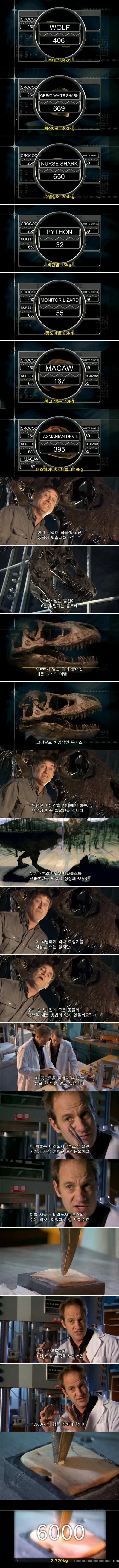 최강의 이빨을 가진 동물.jpgif | 인스티즈