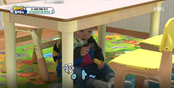 대박이의 아련아련 눈빛공격 (대박이의 성격은? 천성 vs 후천적 교육) | 인스티즈