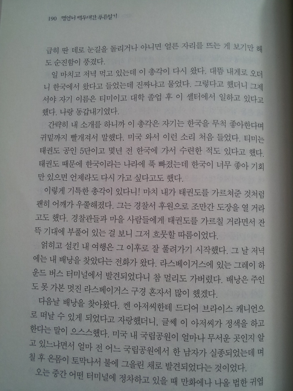 맹여사 이미지
