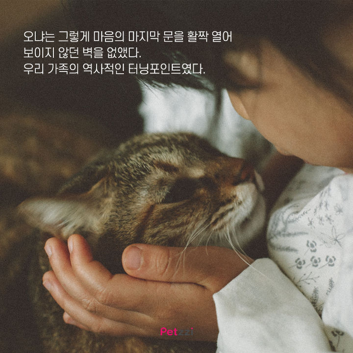 아기와 고양이의 교감 | 인스티즈