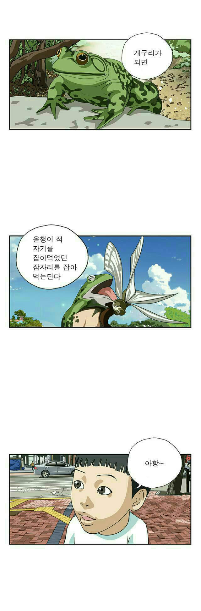 올챙이 [선거만화] | 인스티즈