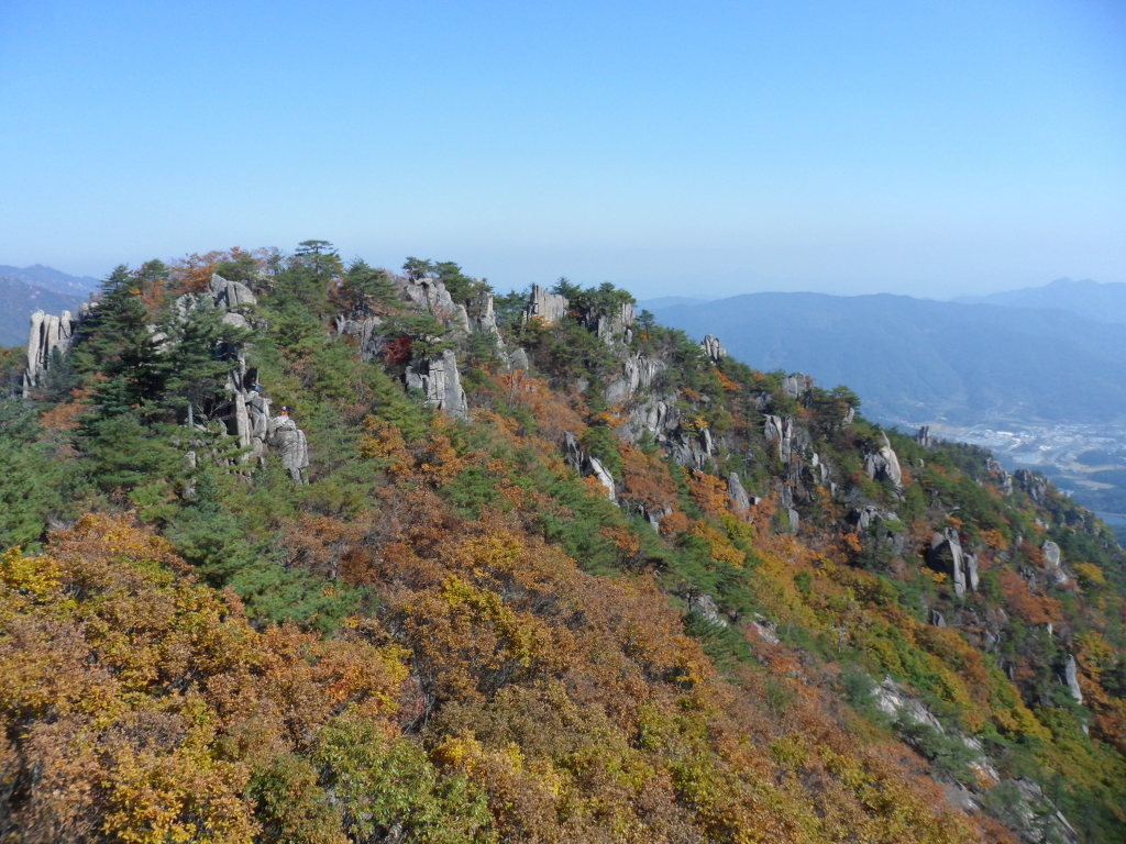 남산 이미지