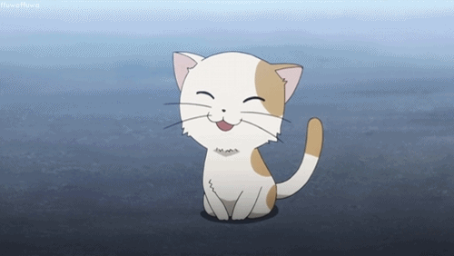 2D 고양이 | 인스티즈