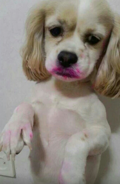 미소 이미지