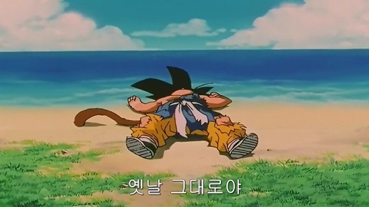 손가 이미지