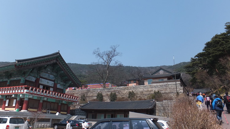 금계포란 이미지