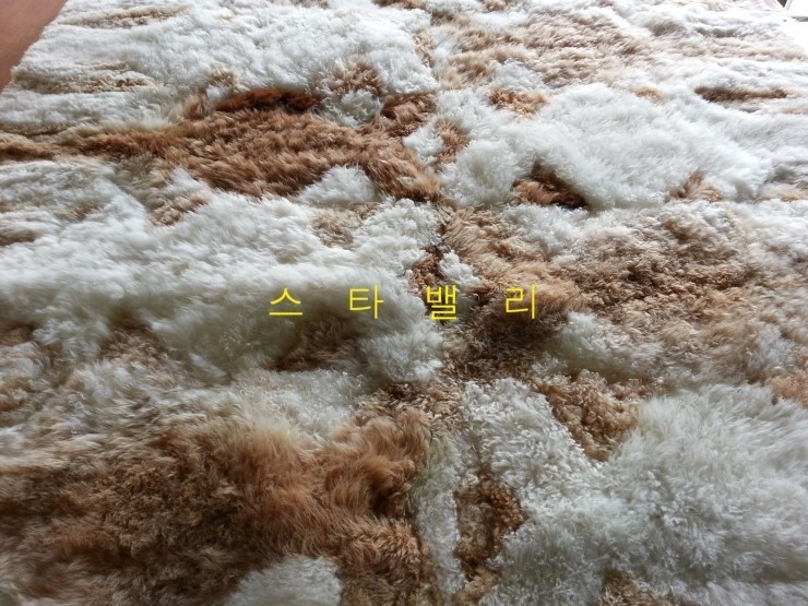 강촌밸리 이미지