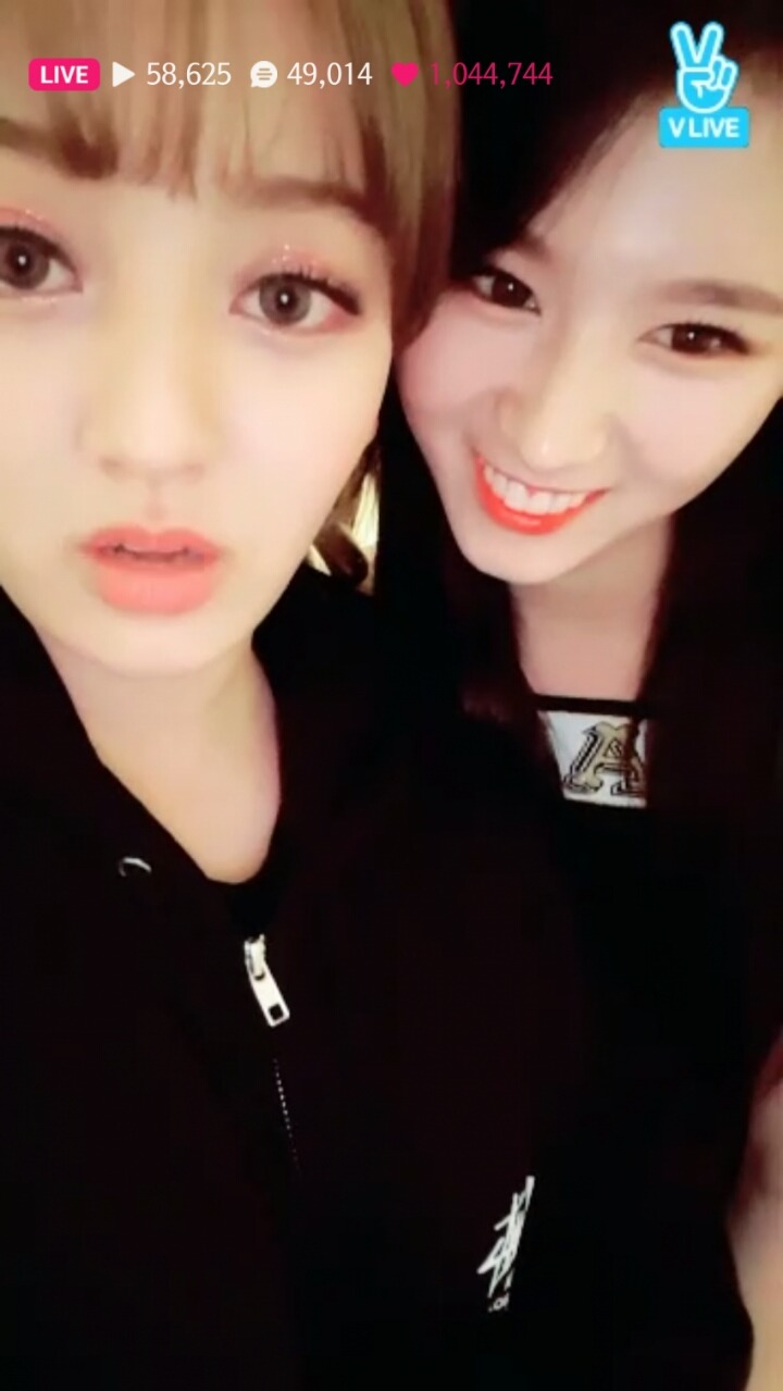 청개구리 트와이스팬들 | 인스티즈