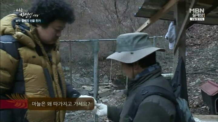 나는 자연인이다 마늘성애자 (마늘주의) | 인스티즈