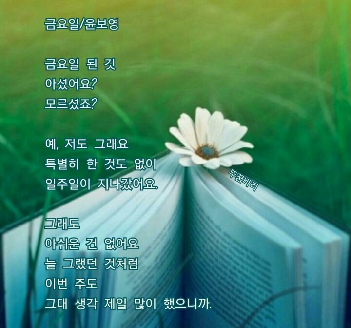 자마이카 이미지