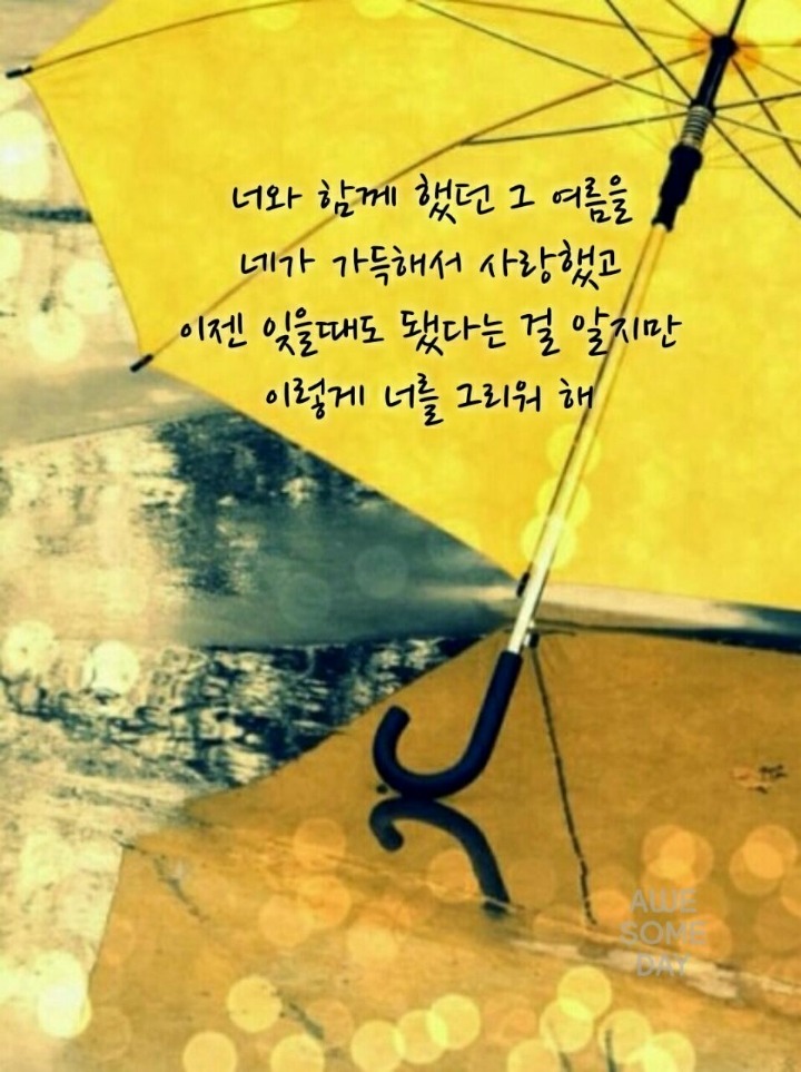 단비네 이미지