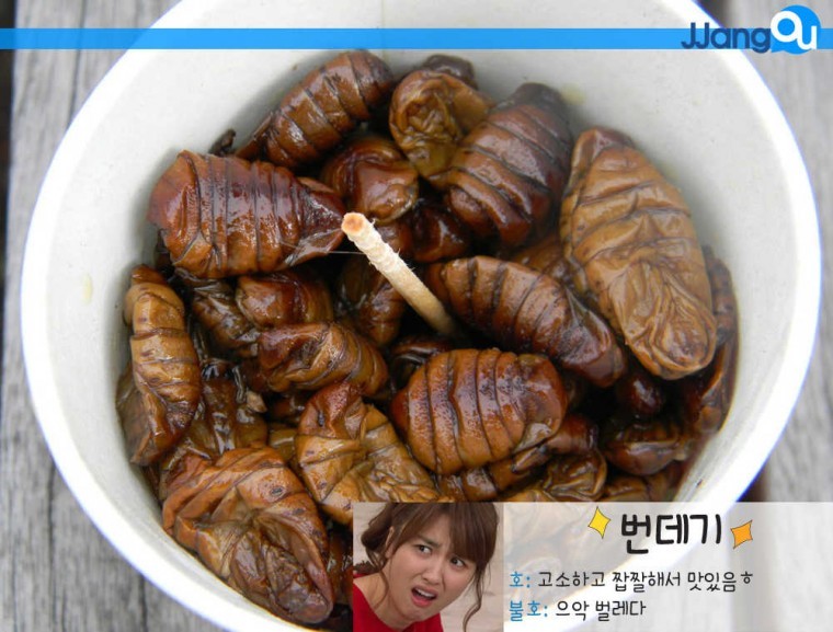 호불호가 나뉘는 음식들.jpg | 인스티즈