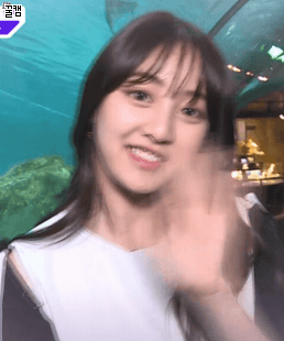트와이스 지효 | 인스티즈