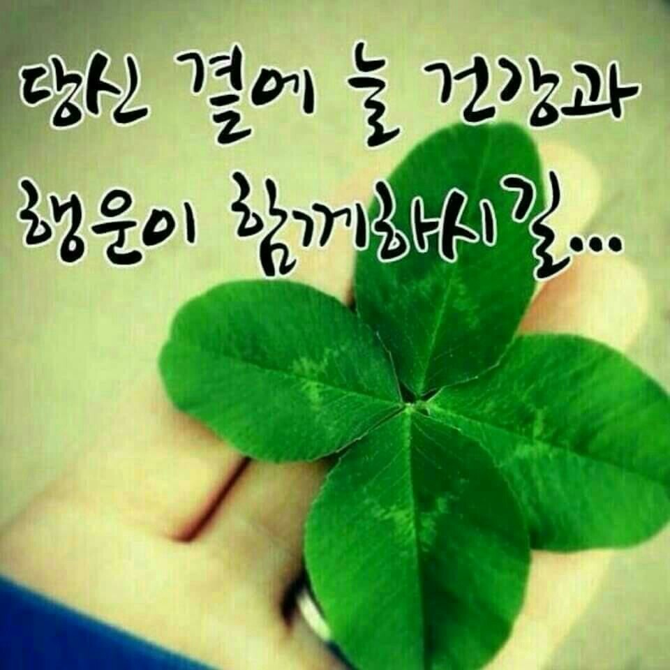 금마차 이미지