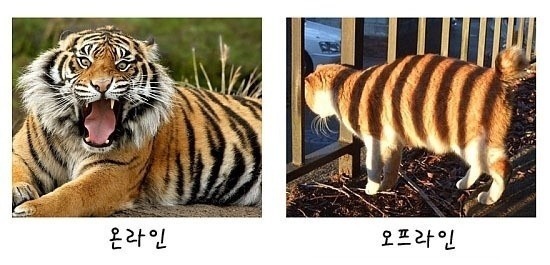 키보드만 잡으면.jpg | 인스티즈