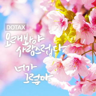 여친한테 섹스어필, 매력점수 얻는 방법중 하나 | 인스티즈