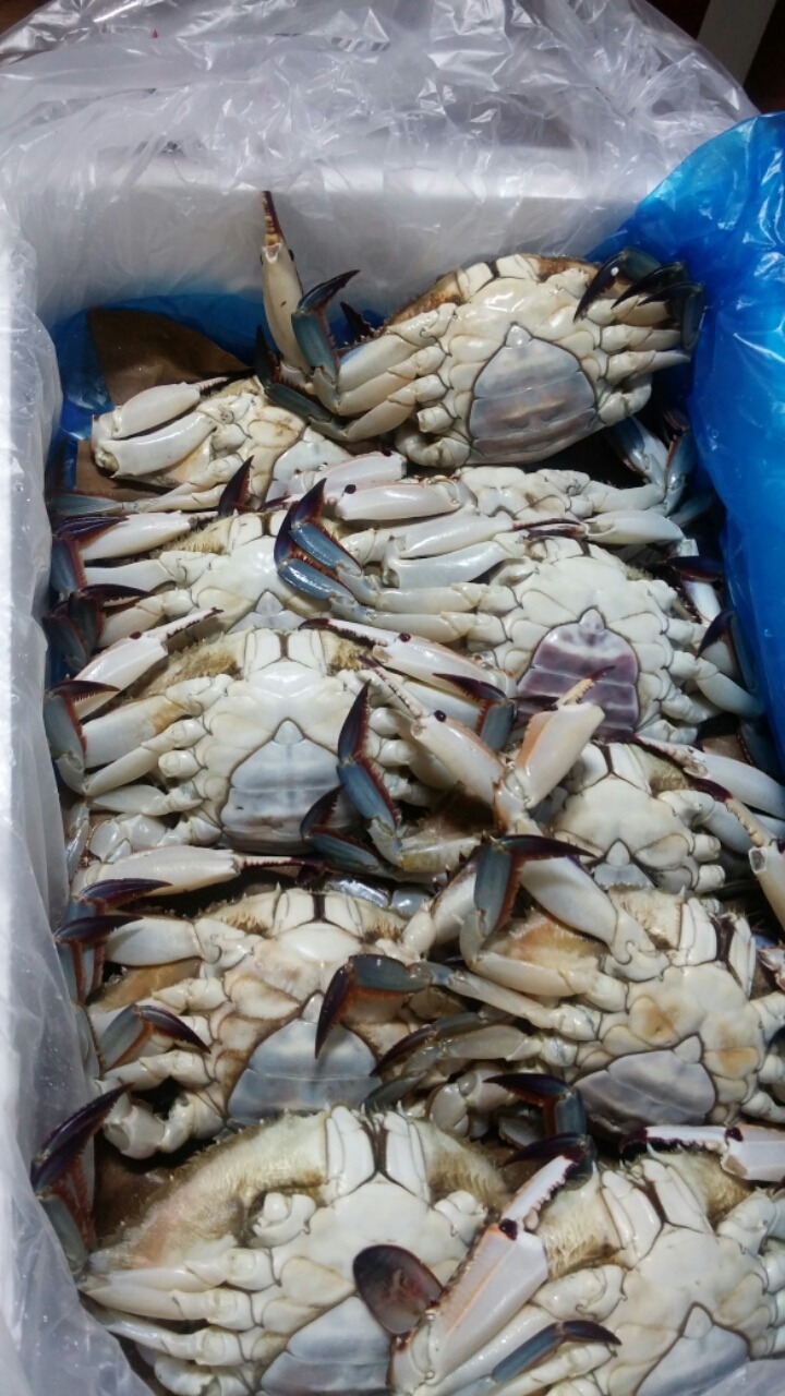 유진수산 이미지