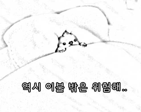 허언증 갤러리 투자받아 창업한 썰 | 인스티즈