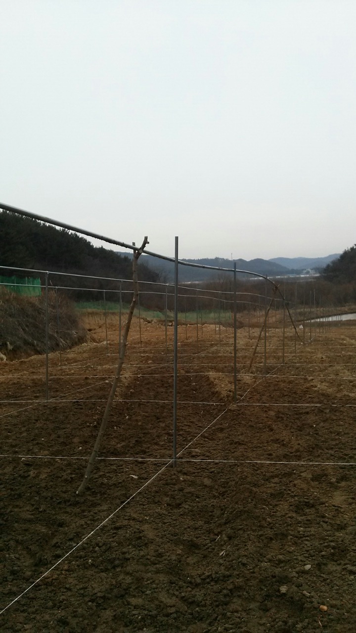 리틀하우스 이미지