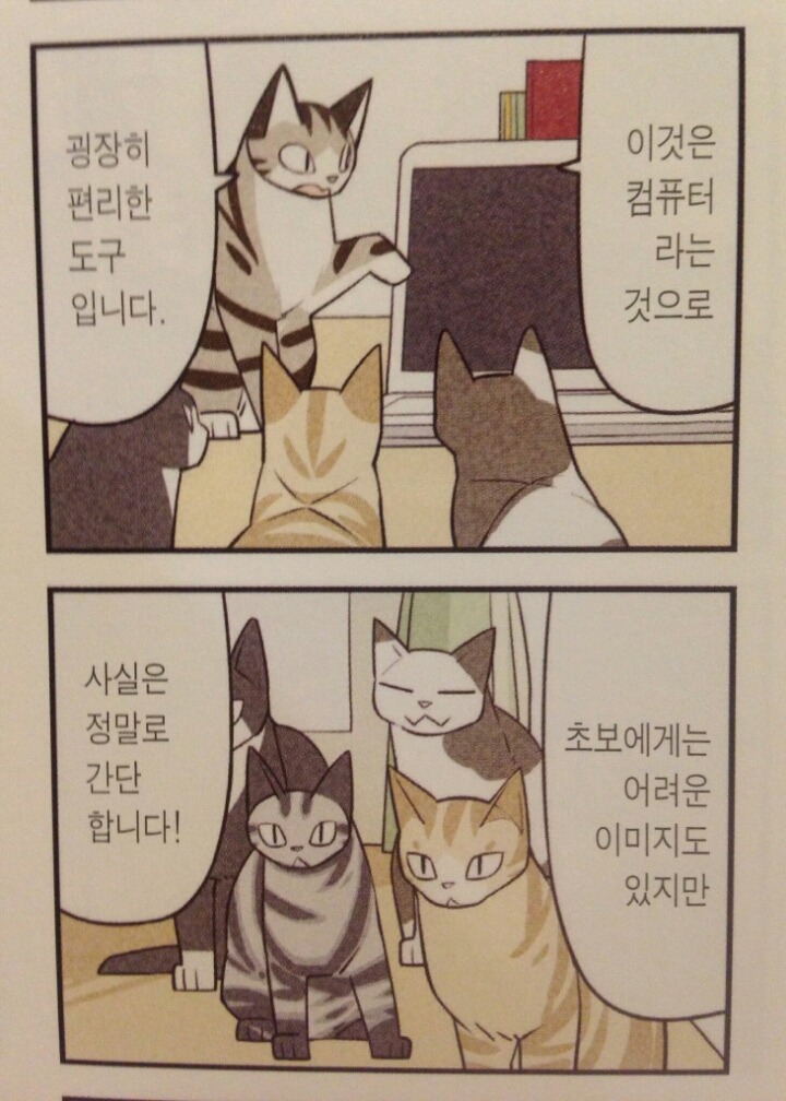 고양이 컴퓨터 사용방법.jpg | 인스티즈