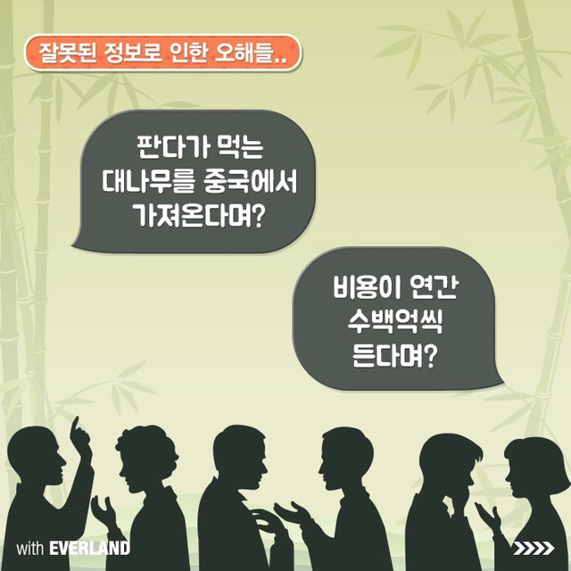 판다는 먹이값만 수백억이 들어간다? 판다의 진실.jpg | 인스티즈