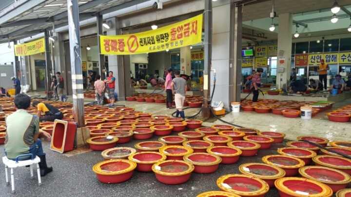 목포세발낙지 이미지