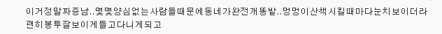 반려동물 때문에..쫓겨나고 전과자 되는 주인들 | 인스티즈