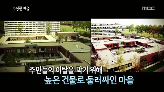 풍차국의 치매 요양 마을 | 인스티즈