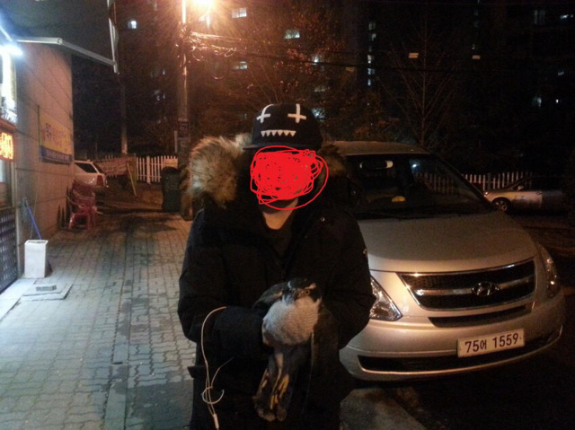길가다 부엉이 주운 디씨인.jpg | 인스티즈