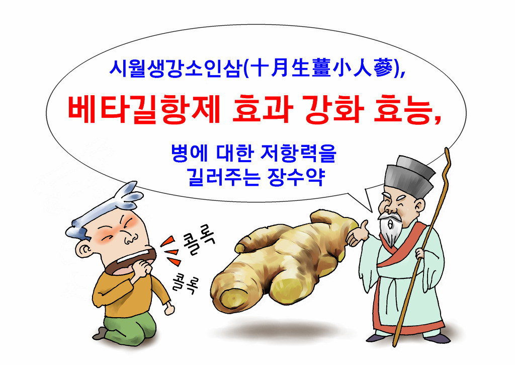 경남인삼 이미지