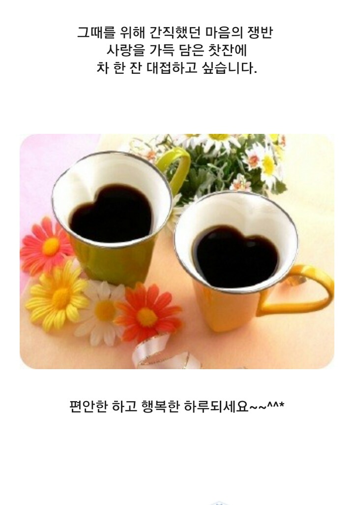 빛의하루 이미지